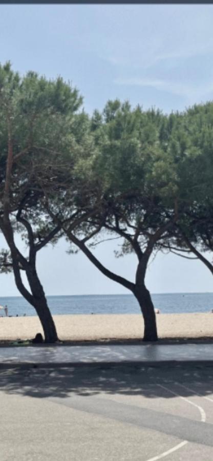 Windsurf Beach Front Torre Grande Luaran gambar